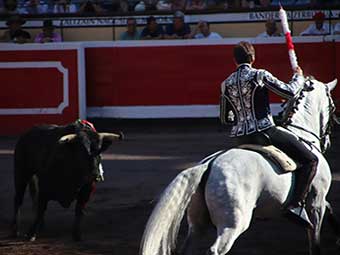 Countries Banning Bullfighting for Animal Welfare