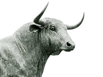Ancient Origins of Bullfighting: A Comprehensive H