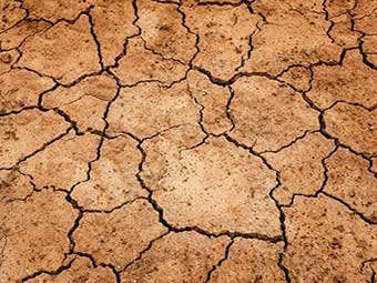 El Niño vs. La Niña: Impacto en el clima global