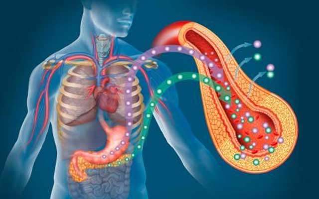 Insulin Resistance: Uncovering the Silent Conditio